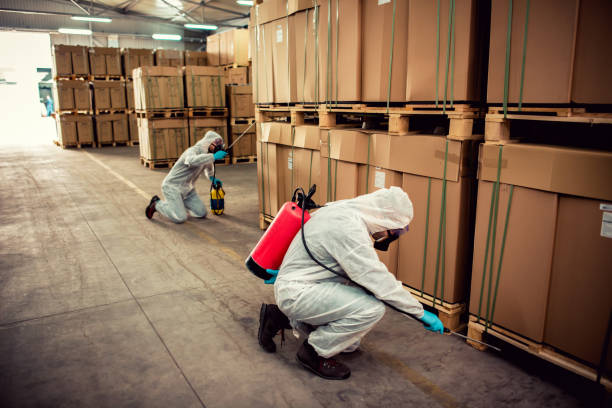 Best Pest Control Near Me  in Madison Heights, VA