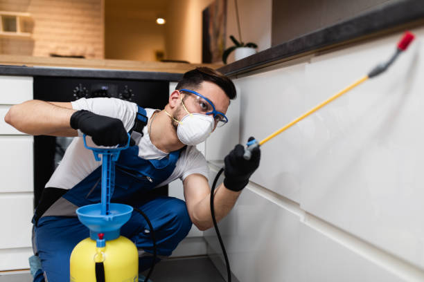 Best Local Pest Control Services  in Madison Heights, VA