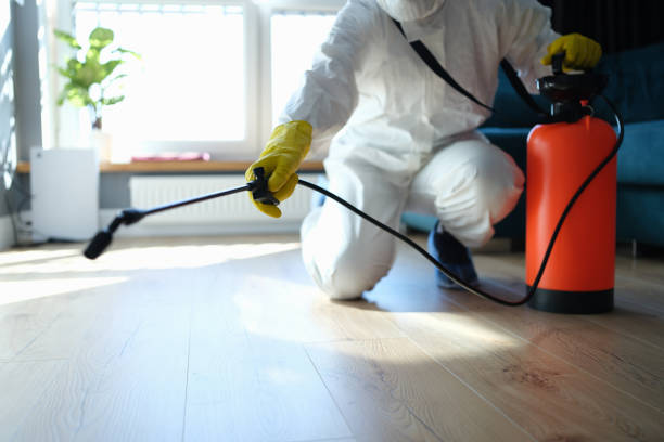 Best Affordable Pest Control Services  in Madison Heights, VA