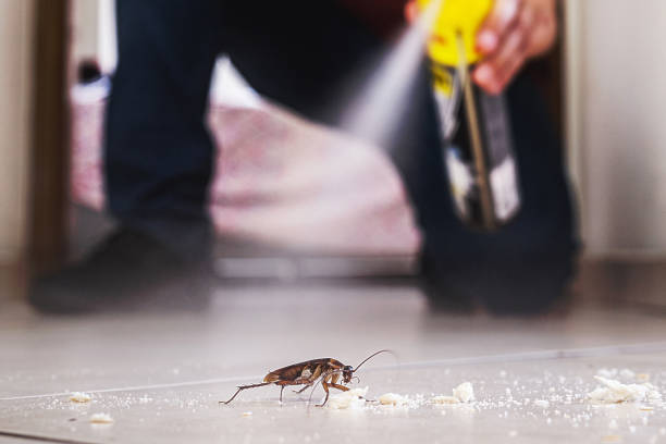 Best Pest Control Treatment  in Madison Heights, VA