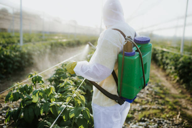 Best Pest Control Near Me in Madison Heights, VA